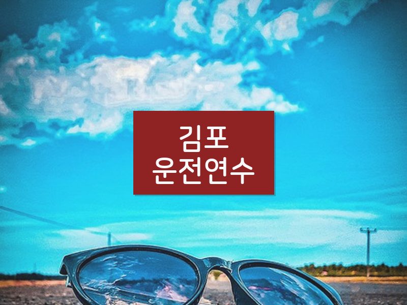 김포운전연수 후기