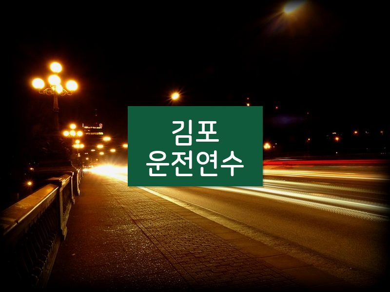 김포운전연수 후기