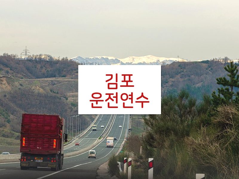 김포운전연수 후기