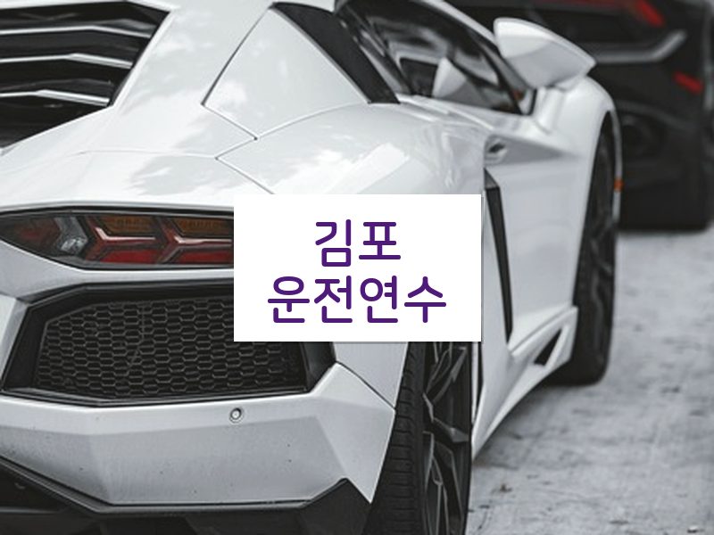 김포운전연수 후기