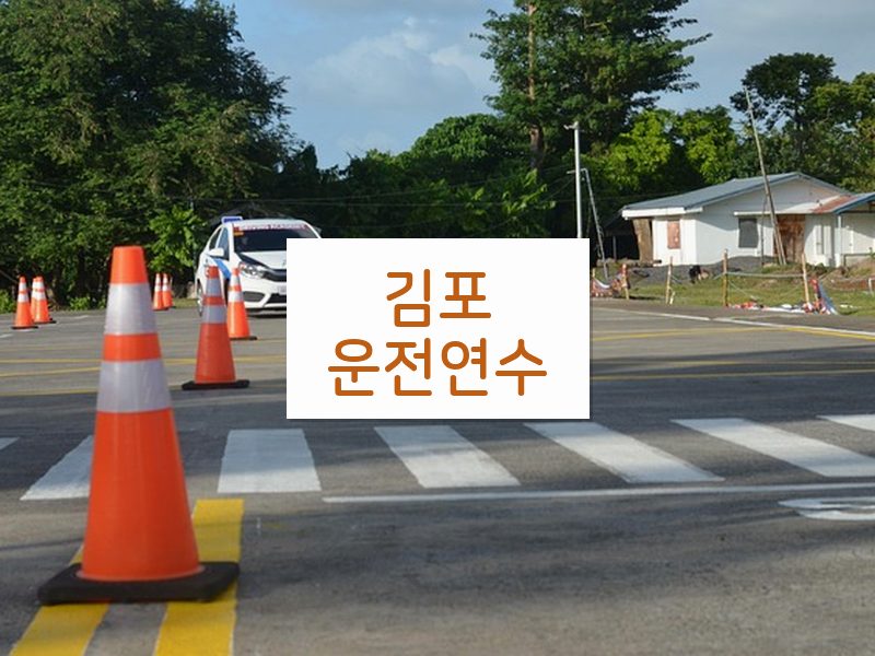 김포운전연수 후기