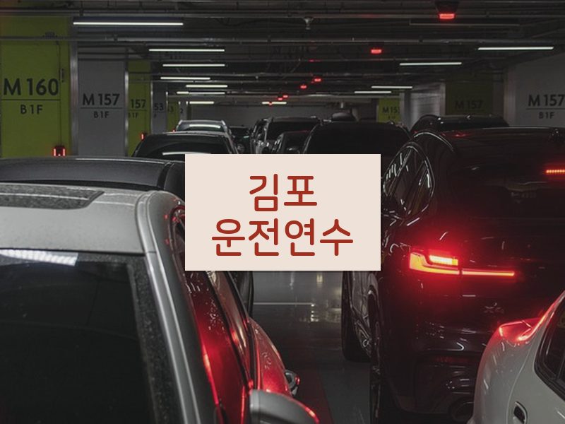 김포운전연수 후기