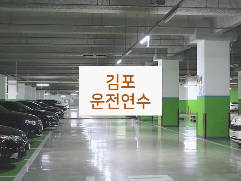 김포운전연수 후기