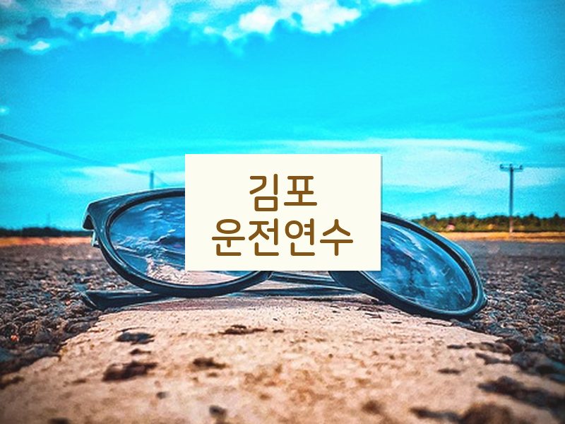 김포운전연수 후기