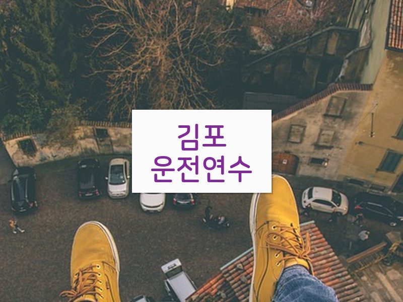 김포운전연수 후기