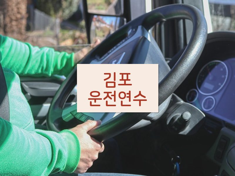 김포운전연수 후기
