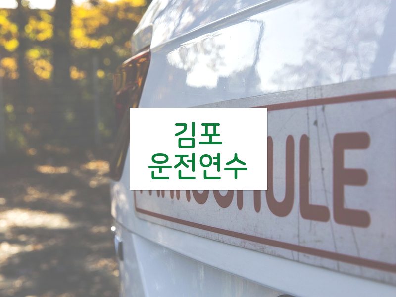 김포운전연수 후기