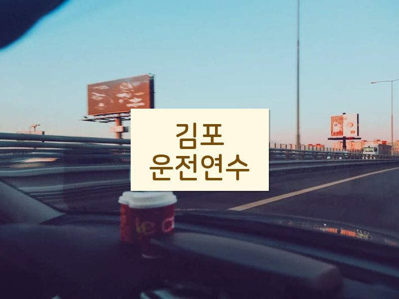 김포운전연수 후기