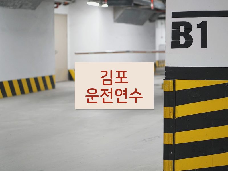 김포운전연수 후기