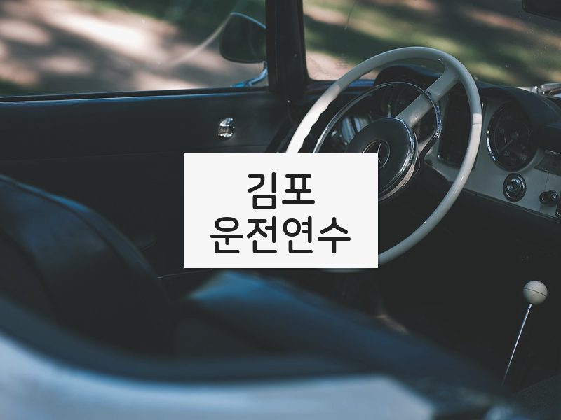 김포운전연수 후기