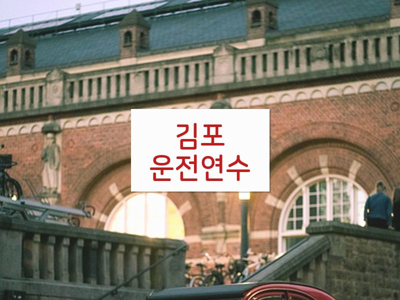 김포운전연수 후기