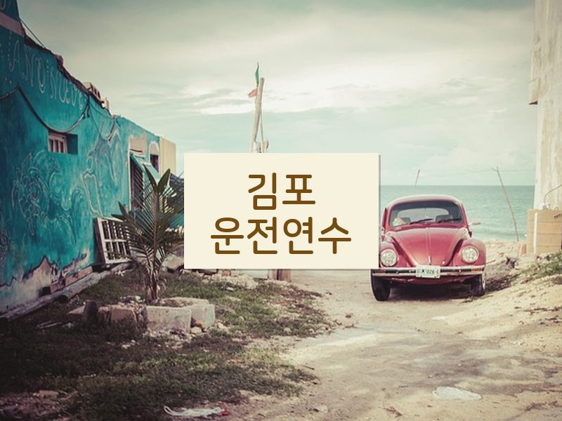 김포운전연수 후기