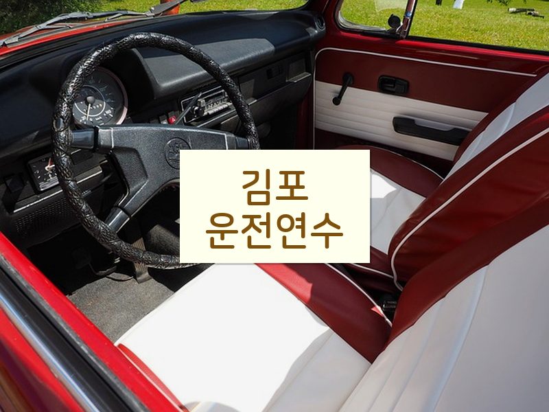 김포운전연수 후기