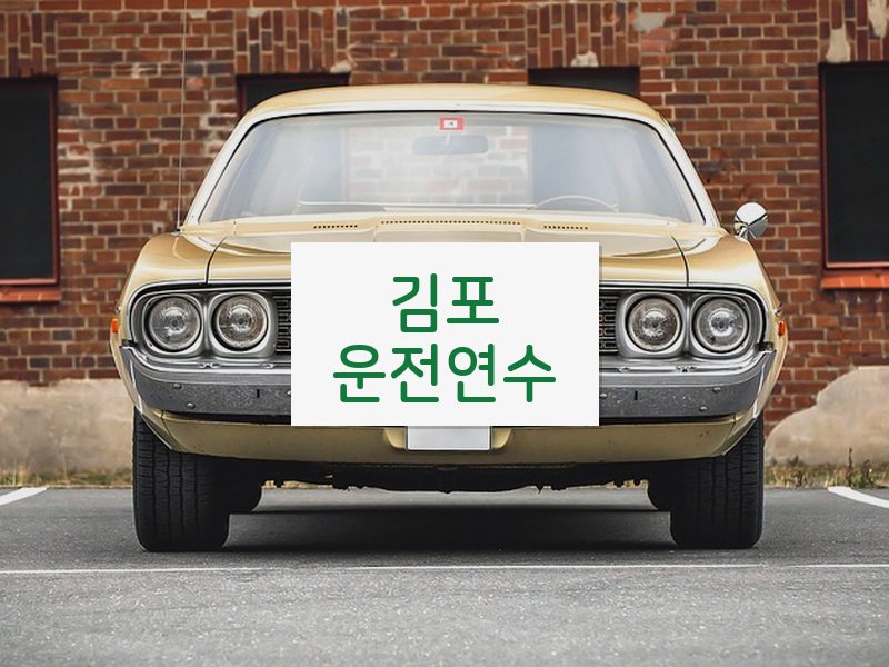 김포운전연수 후기