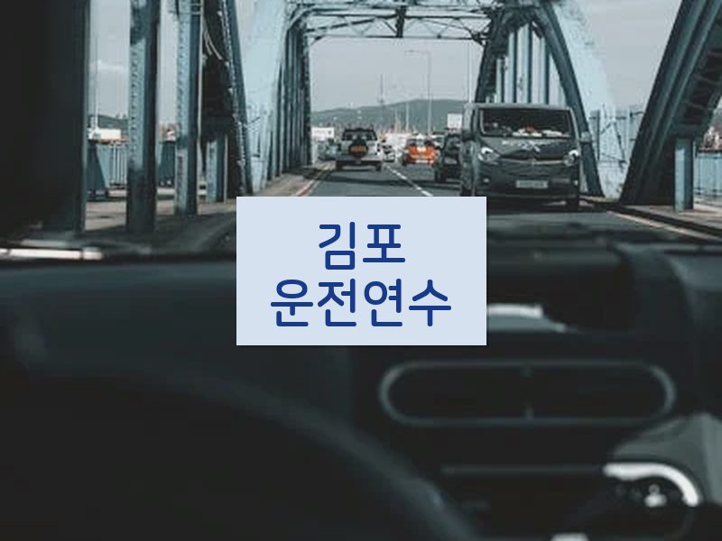 김포운전연수 후기
