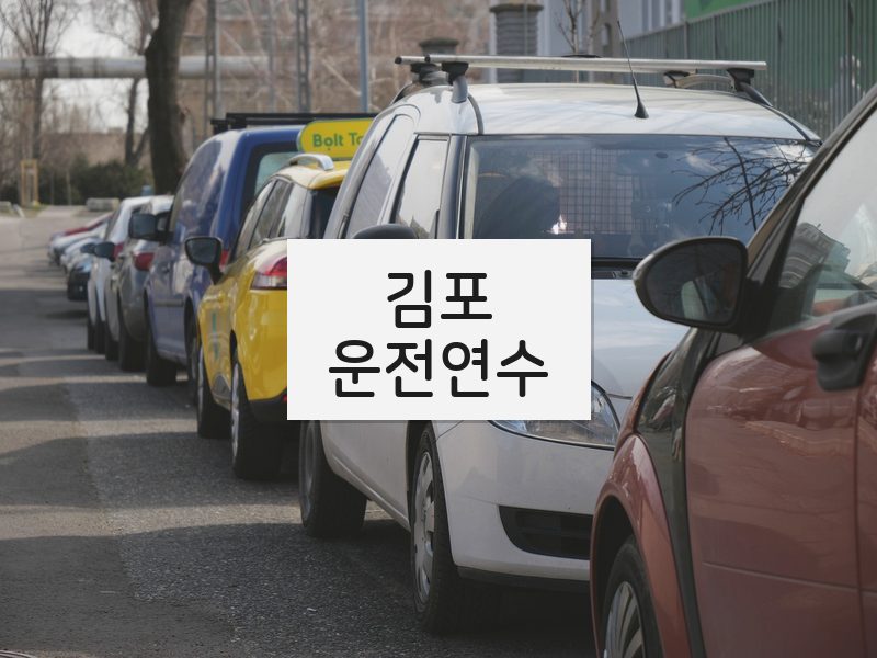 김포운전연수 후기