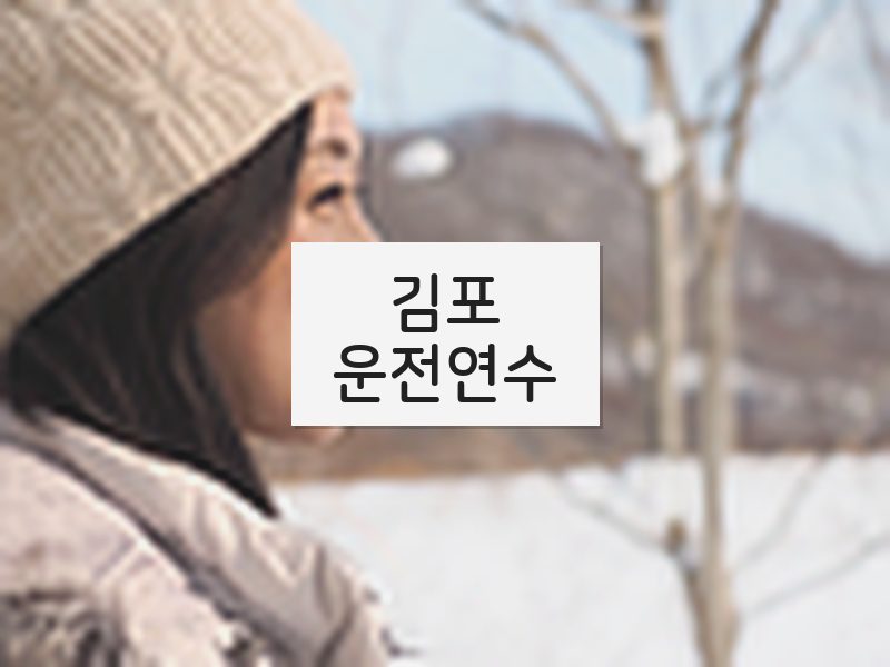 김포운전연수 후기