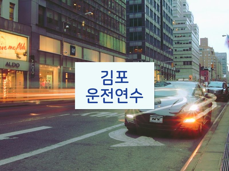 김포운전연수 후기