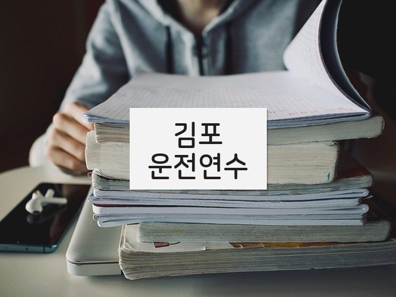 김포운전연수 후기