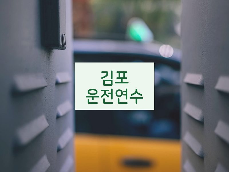 김포운전연수 후기
