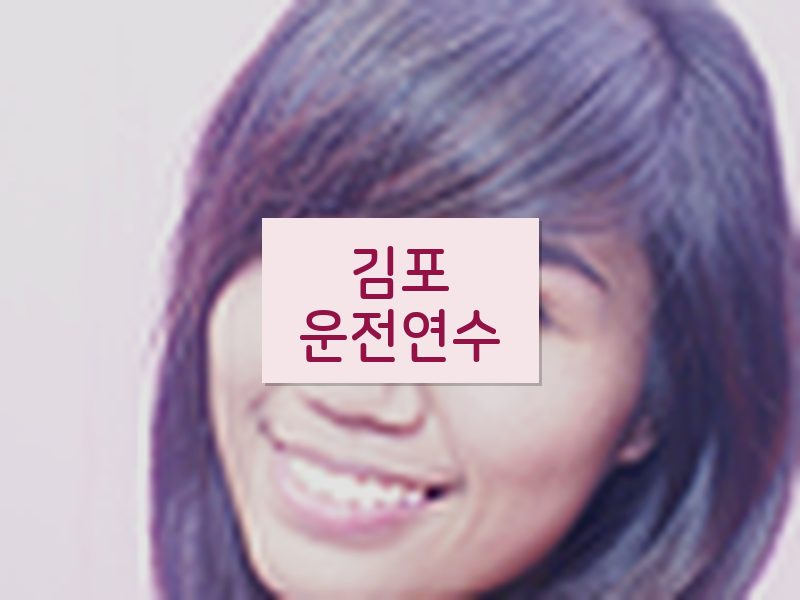 김포운전연수 후기