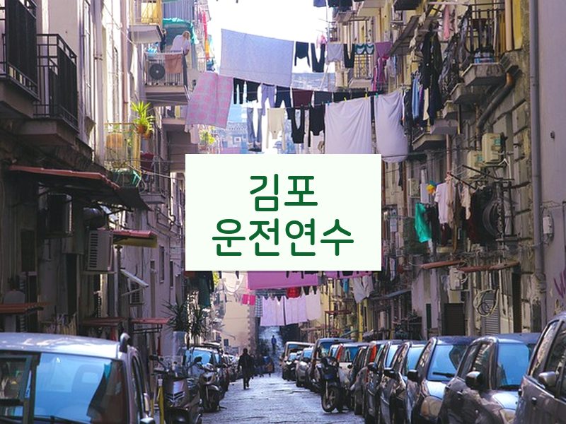 김포운전연수 후기