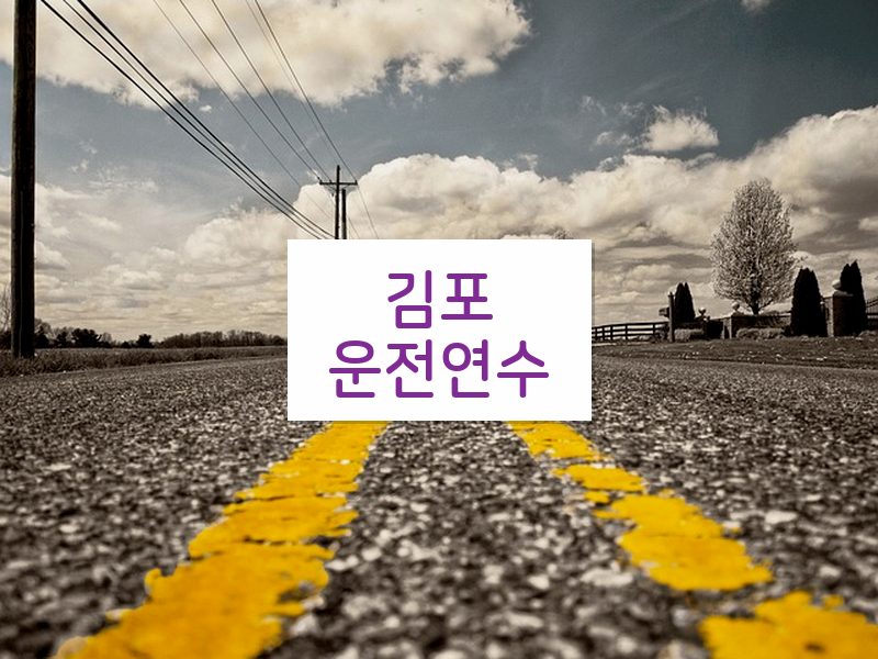김포운전연수 후기