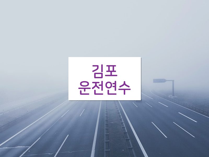 김포운전연수 후기