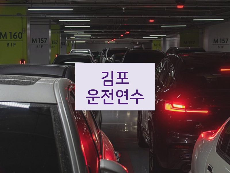 김포운전연수 후기