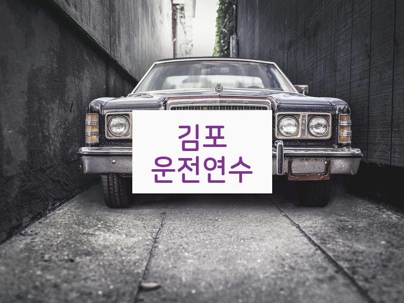 김포운전연수 후기