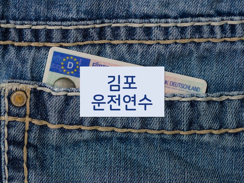 김포운전연수 후기