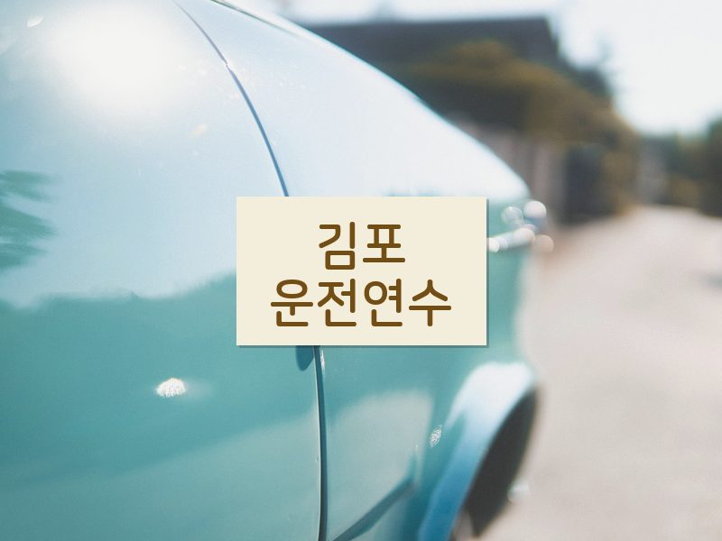 김포운전연수 후기