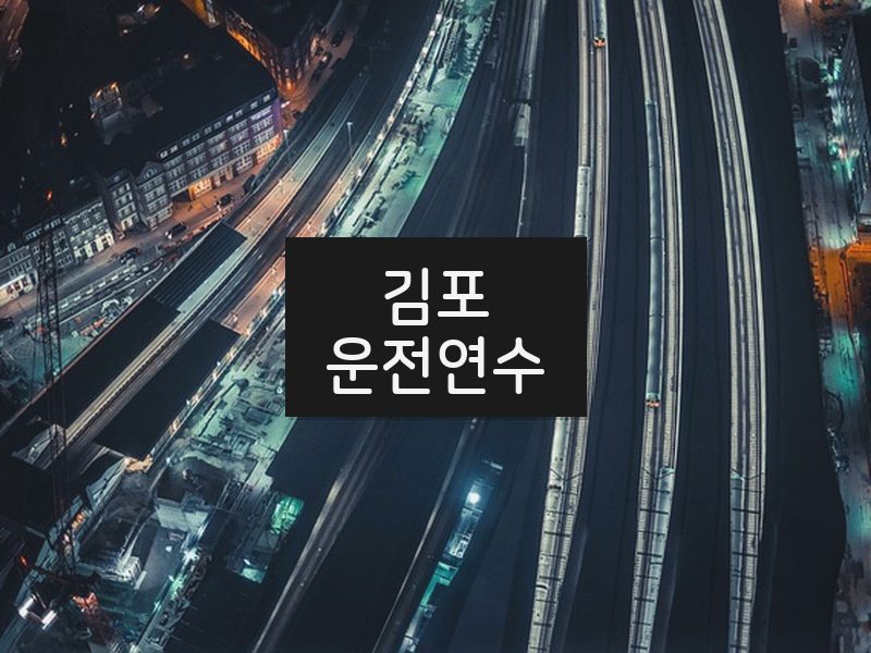 김포운전연수 후기