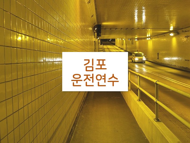 김포운전연수 후기