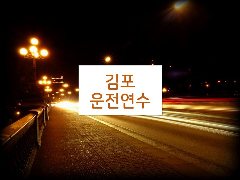 김포운전연수 후기