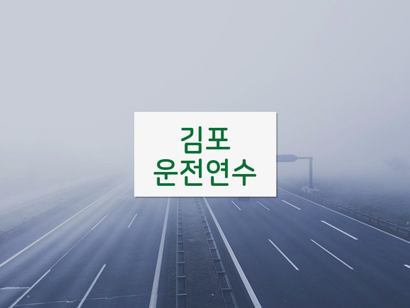 김포운전연수 후기