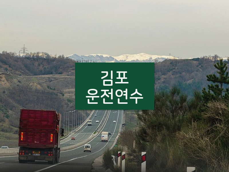 김포운전연수 후기
