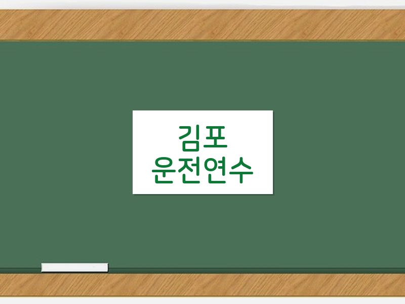 김포운전연수 후기