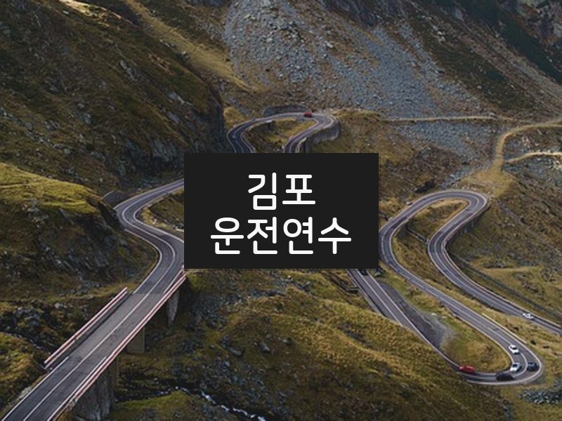 김포운전연수 후기