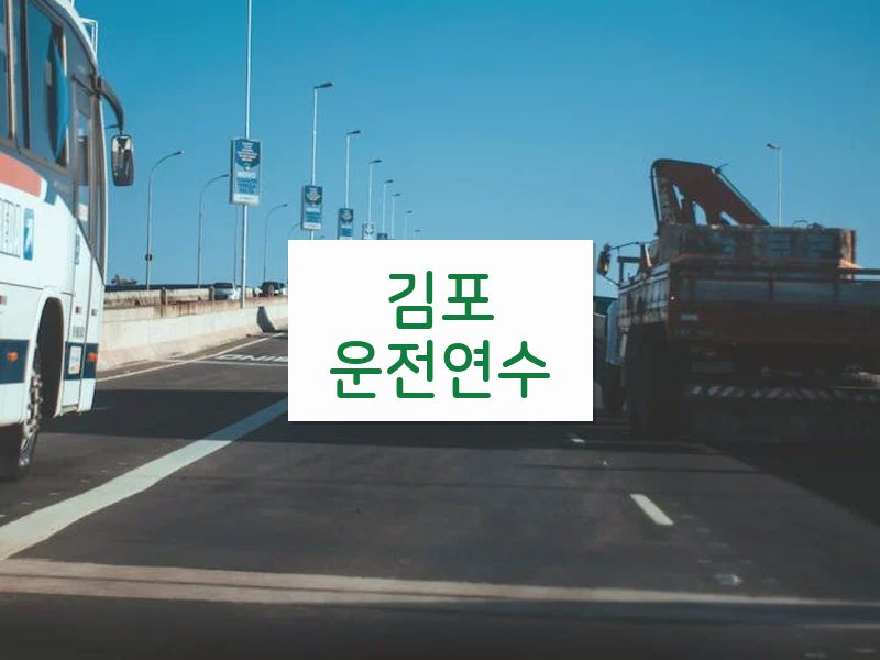 김포운전연수 후기