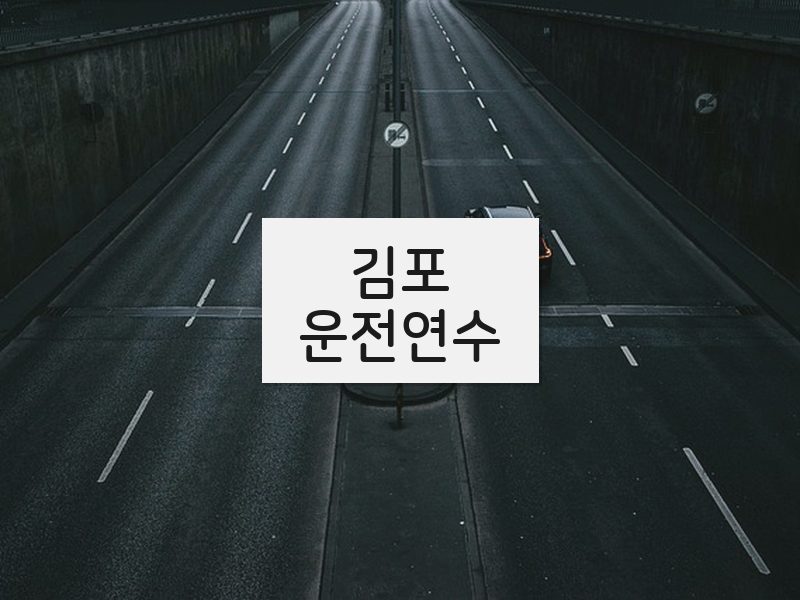 김포운전연수 후기