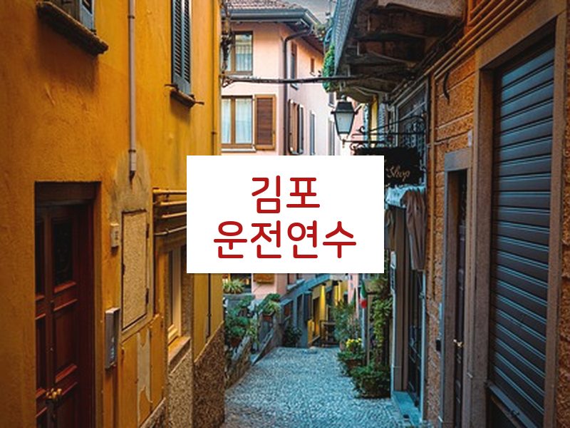 김포운전연수 후기