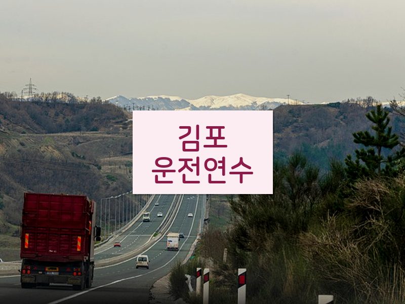 김포운전연수 후기