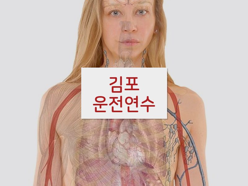 김포운전연수 후기