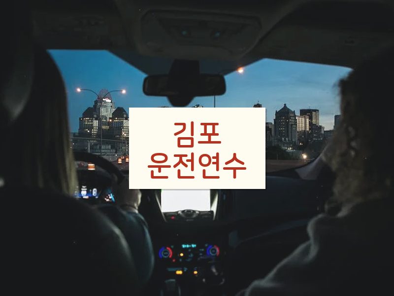 김포운전연수 후기