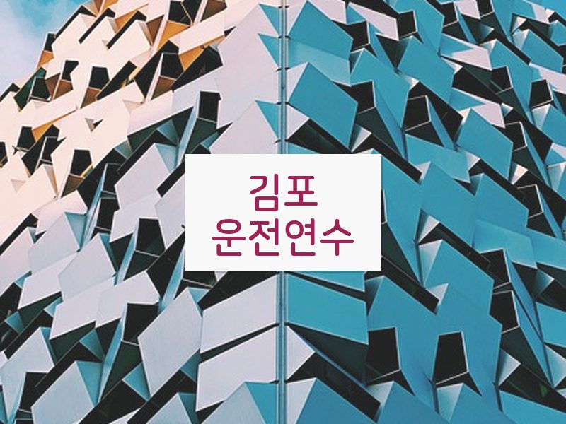 김포운전연수 후기