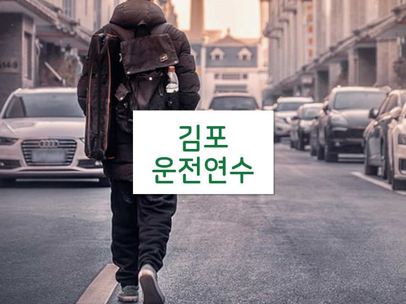 김포운전연수 후기