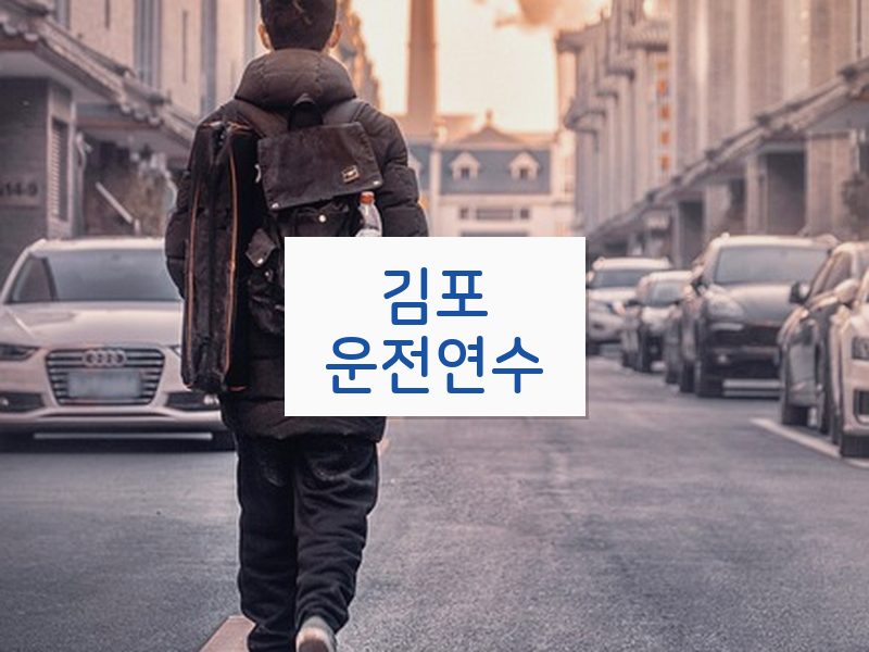 김포운전연수 후기