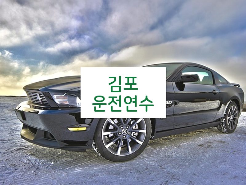 김포운전연수 후기