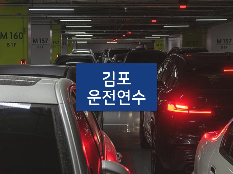 김포운전연수 후기